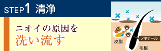 大人の気になるいやーなニオイの主な原因は、「皮脂汚れ」「バクテリア」「ノネナール」の3つになります。人は40歳を過ぎた頃から、皮脂の酸化への抵抗力が弱くなってしまうため、いやーなニオイの原因となるノネナール を発生しやすい状態になってしまうのです。そのためそれを防ぐには、ノネナール対策 をする必要があるのです。
「柿のさち」の3ステップで、すっきりニオイを防ぎましょう!