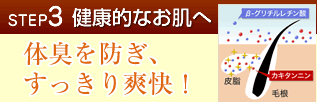 STEP3 NIȂցFjIC𔭐Ȃ