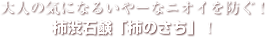l̋CɂȂ邢[ȃjIChI`aΌu`̂v̗́I`aΌu`̂v