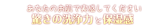 ̐͂ƕێȂ̂ŎĂI