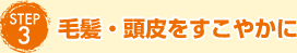 STEP3 єE₩
